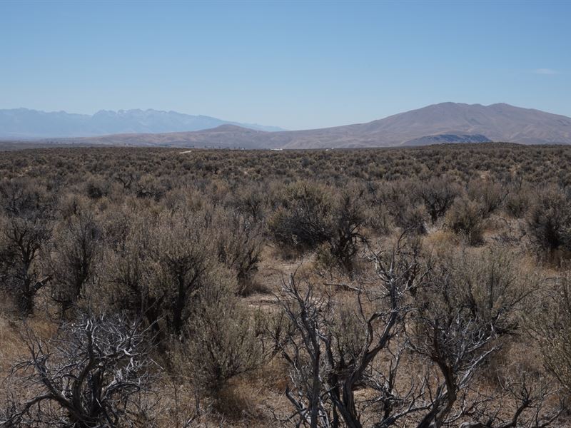 2 Acres All to Yourself : Elko : Elko County : Nevada