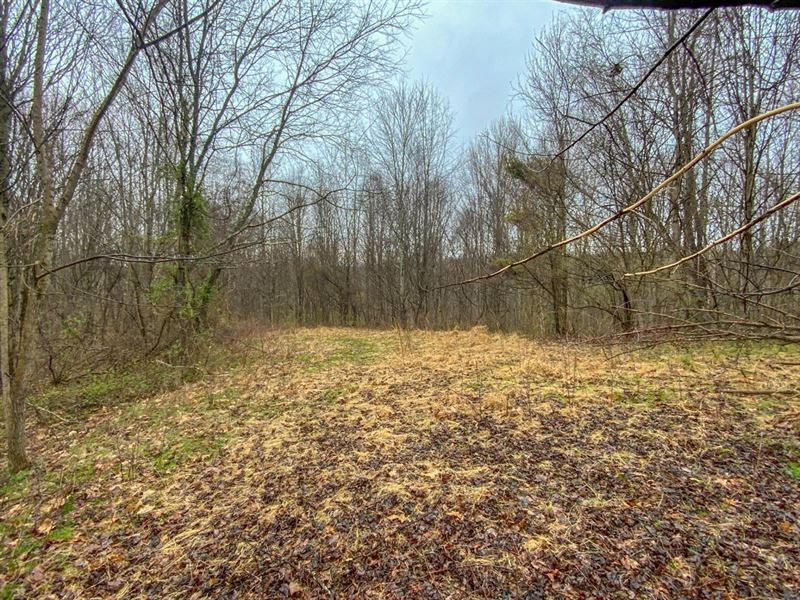 TR 3, 10 Acres, Noble County Land for Sale in Caldwell, Noble County