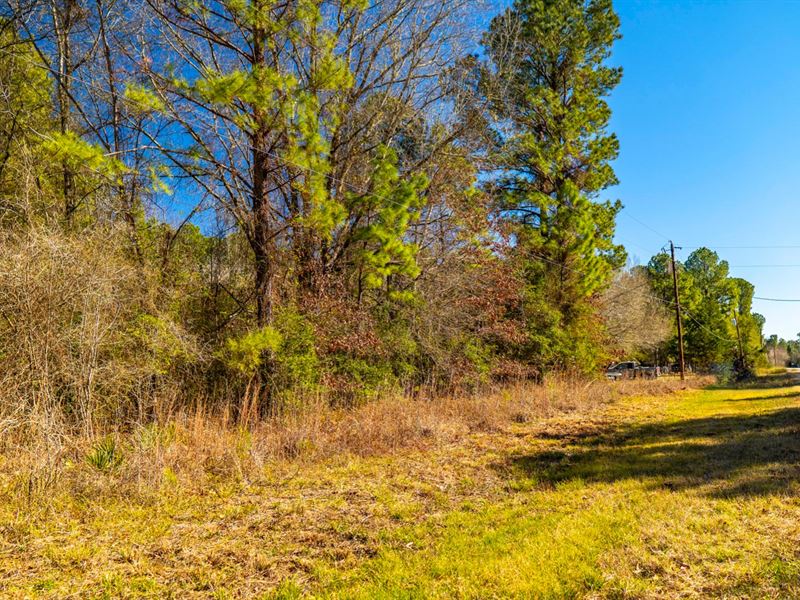 Wooded Lot Utilities Near Lake Land For Sale By Owner In Texas 