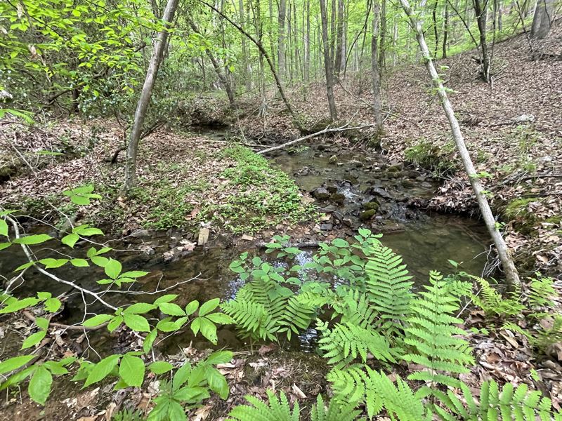 Joins Nat'l Forest : Armuchee : Floyd County : Georgia