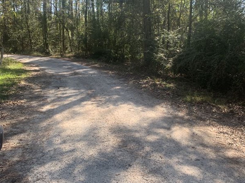 Cozy Wooded Lot : Kinder : Allen Parish : Louisiana