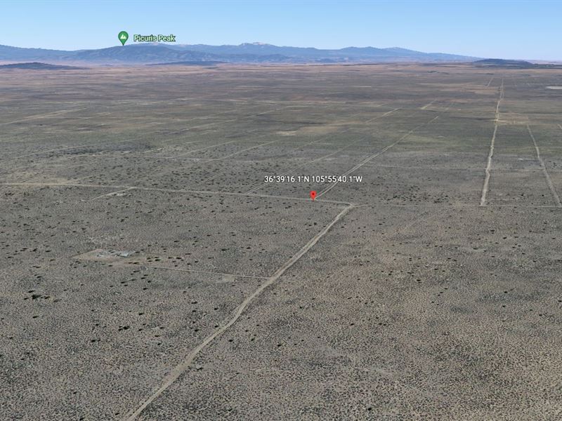 .25 Ac in Taos County, NM $49 Down : Tres Piedras : Taos County : New Mexico