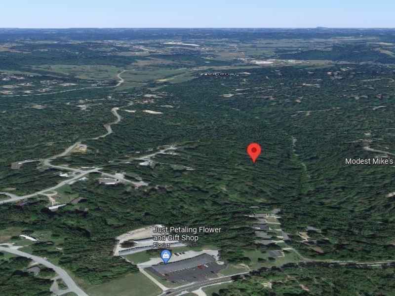 .36 Ac Evergreen in Benton County : Bella Vista : Benton County : Arkansas