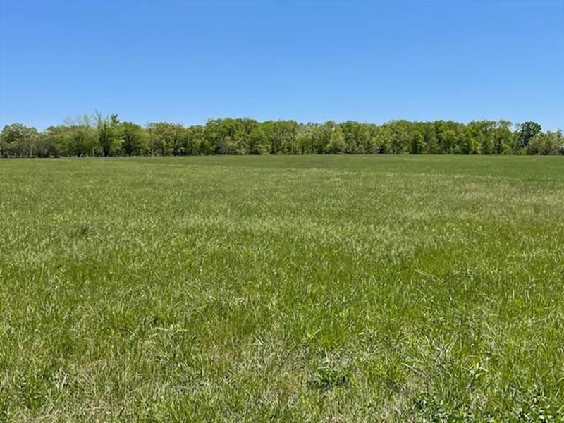 Eagles Roost Subdivision : Mountain Grove : Wright County : Missouri