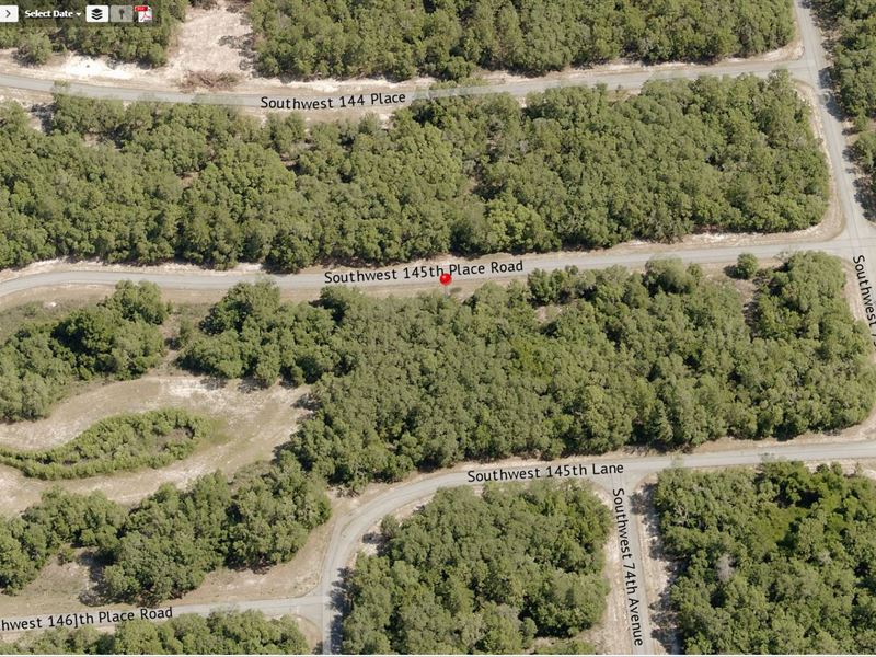 Beautiful Marion Oaks, FL : Ocala : Marion County : Florida