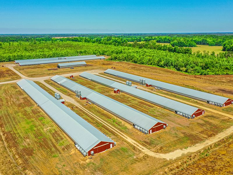 Active Poultry Farm in Rowland, NC : Rowland : Robeson County : North Carolina