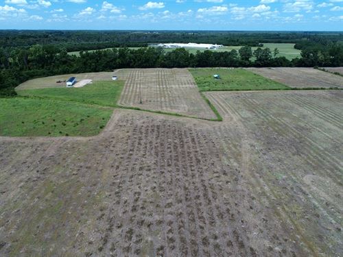 Rowland North Carolina Farm Land for Sale : Page 4 of 4 : LANDFLIP