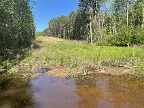 Paulding County Georgia Land for Sale - landflip