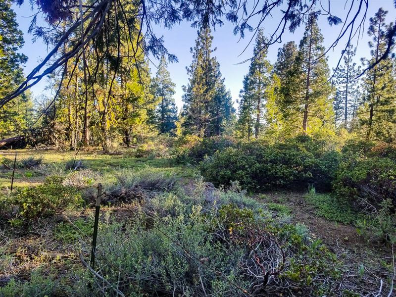 Klamath Falls Forest Estates Land for Sale by Owner in Bonanza