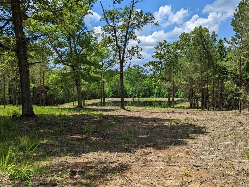 Old Pike 26 Homesite with Pond : Mathews : Montgomery County : Alabama