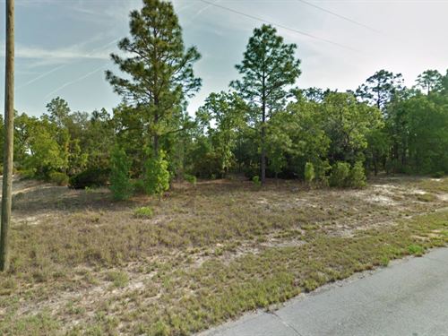 Ocala Florida Land for Sale - landflip