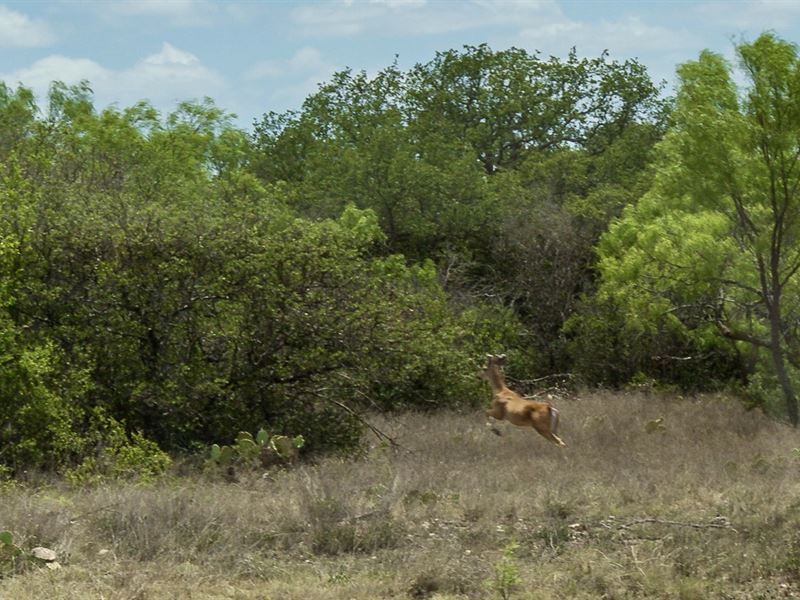 Heritage, Lot 29 : Brady : McCulloch County : Texas