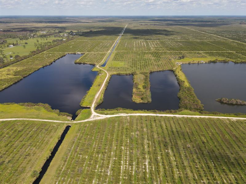 Transitional Farmland, Alva, FL : Alva : Lee County : Florida