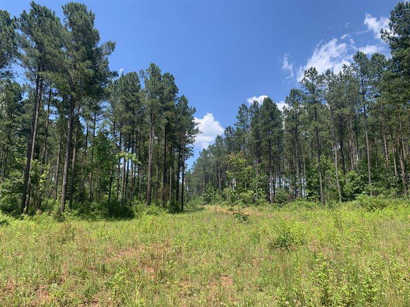 Farmington Tract B, Land for Sale in Georgia, #323683 : LANDFLIP