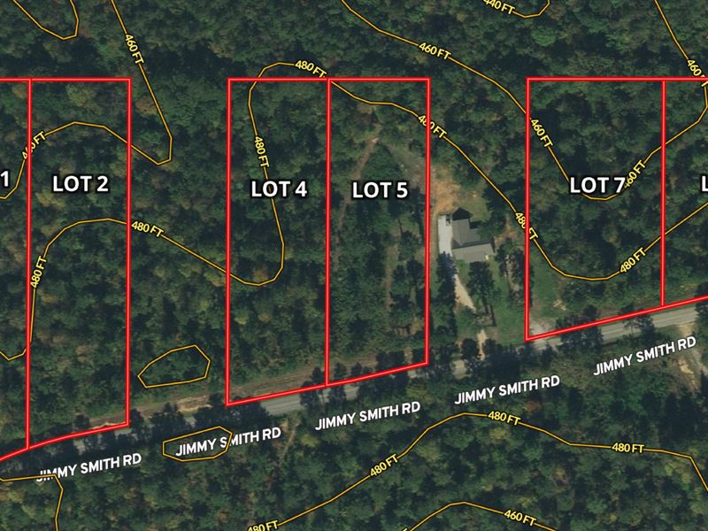 Loblolly Highlands Acreage Lots : Collinsville : Lauderdale County : Mississippi