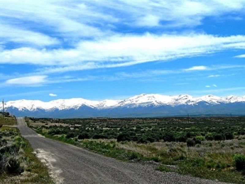 Only 3/4 of a Mile to The River : Elko : Elko County : Nevada