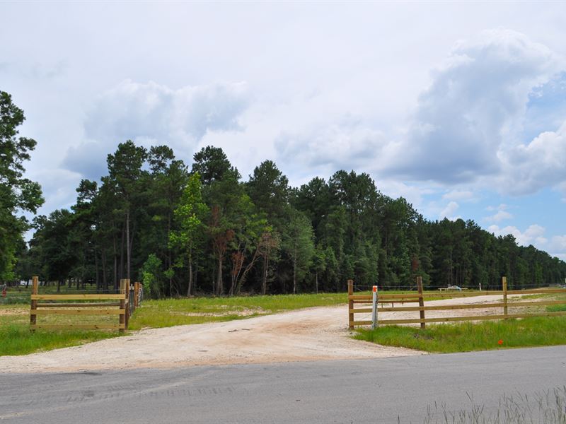 80 Acres, Tommy Smith Road : Conroe : Montgomery County : Texas