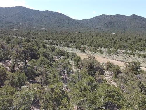 Colorado Land for Sale - landflip