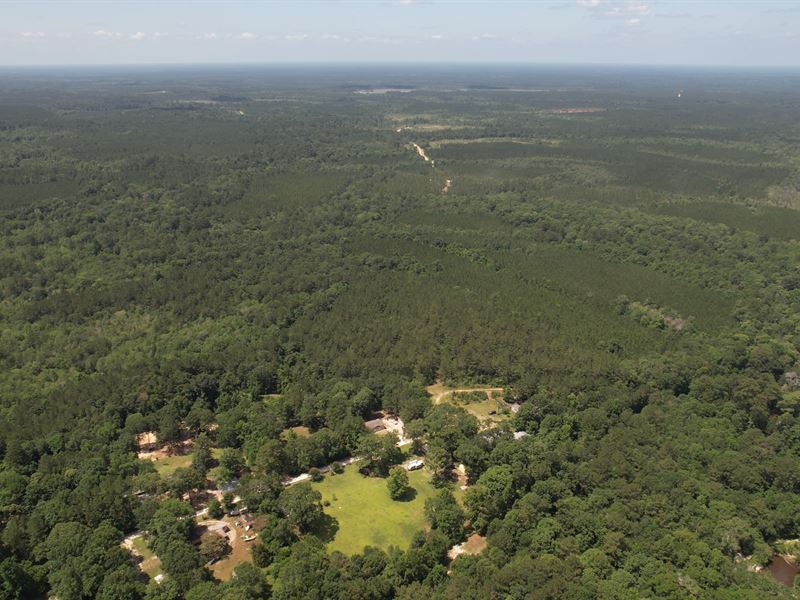 Wooded & Secluded : Land for Sale by Owner in Silsbee, Hardin County ...