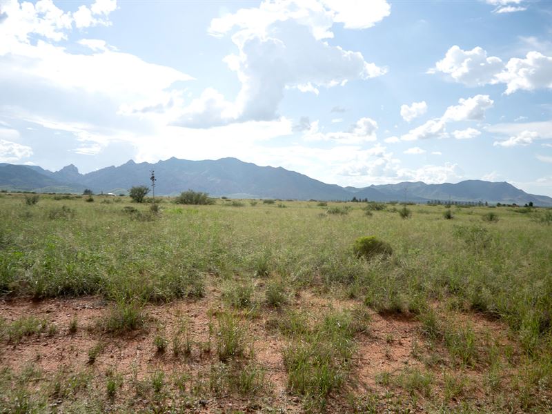 Cheap Arizona Land, RV Friendly : Cochise : Cochise County : Arizona