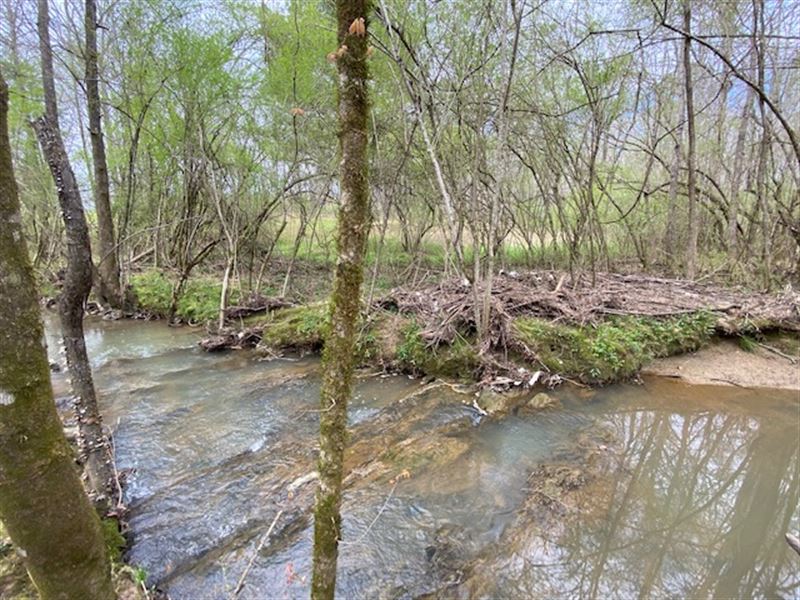 Dunlap Springs Branch, 34 Acres : Pell City : Saint Clair County : Alabama