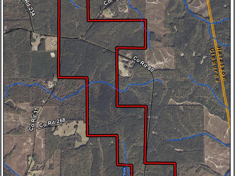 Mars Hill 1028 : Cleburne : Cleburne County : Alabama