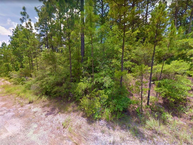 .23 Acre in Brookeland, Texas Land for Sale by Owner in Brookeland