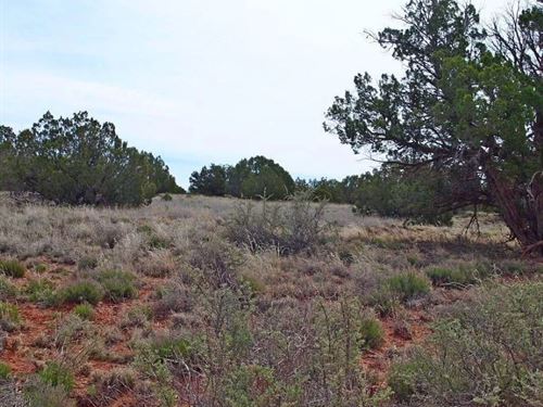 Billy K : Wild Dirt Co. Land for Sale - landflip