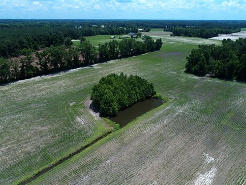 Robeson County North Carolina Land for Sale : LANDFLIP