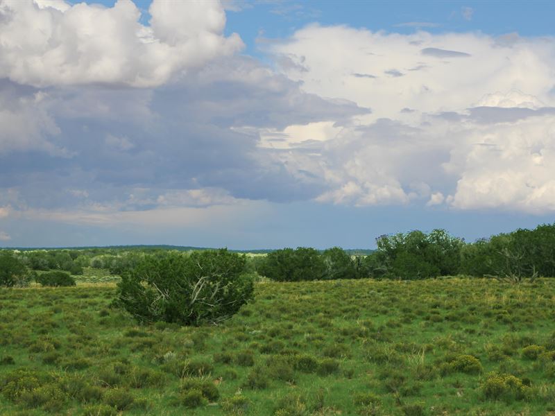 Northern AZ Highlands Homestead : Saint Johns : Apache County : Arizona