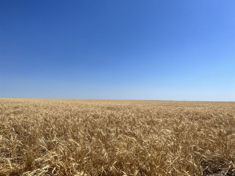 Clarkville Dryland : Yuma : Yuma County : Colorado