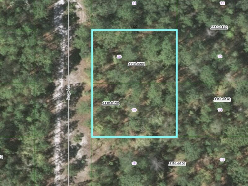 R-2 Zoned Double Lot Package : Florahome : Putnam County : Florida