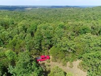 Owner Financed Land in MO : Gainesville : Ozark County : Missouri