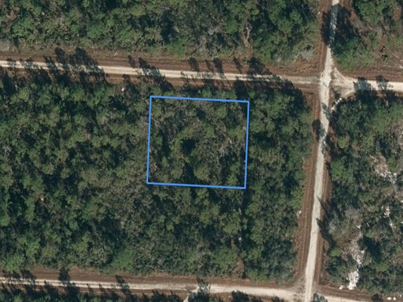 Double Lot in Lake Placid : Lake Placid : Highlands County : Florida