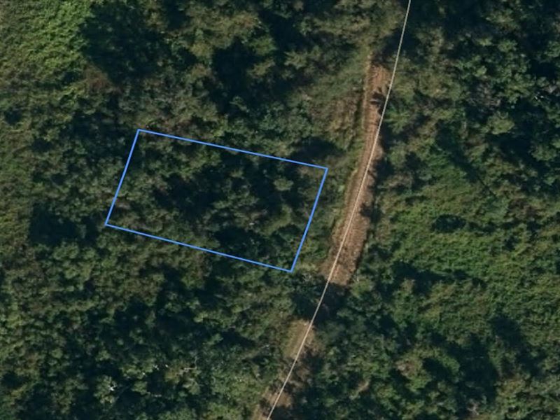 Lovely Lot Priced to Sell : Lake Placid : Highlands County : Florida