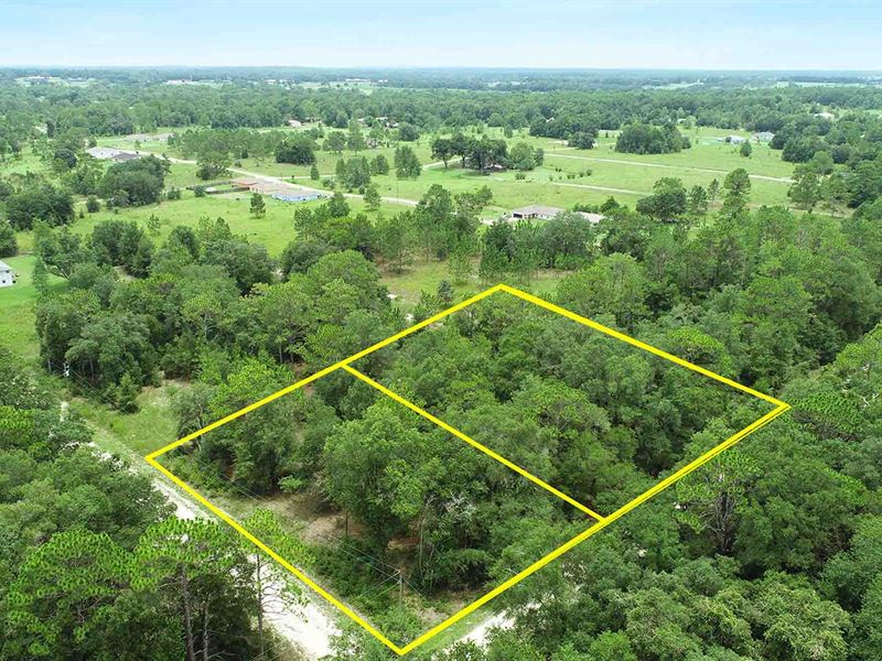 Half Acre In Ocala's Horse Country : Land for Sale by Owner in Ocala ...