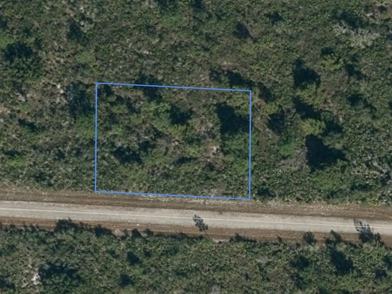 Double Lot Awaits Your Vision : Lake Placid : Highlands County : Florida