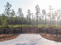 Lot 3, Stave Branch, Hilliard : Hilliard : Nassau County : Florida