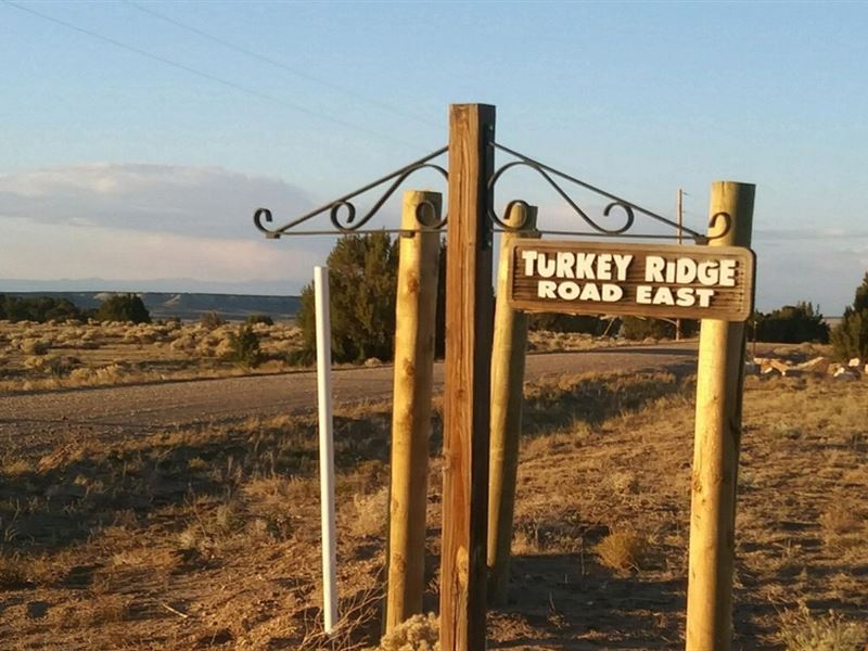 Turkey Ridge Road E Lot 75, Wal : Walsenburg : Huerfano County : Colorado