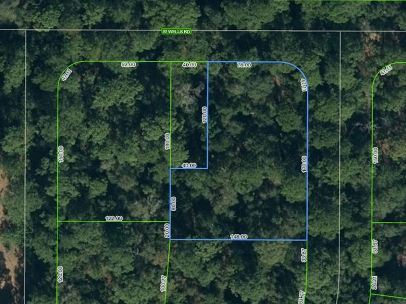 Private Half Acre Corner Lot : Avon Park : Highlands County : Florida