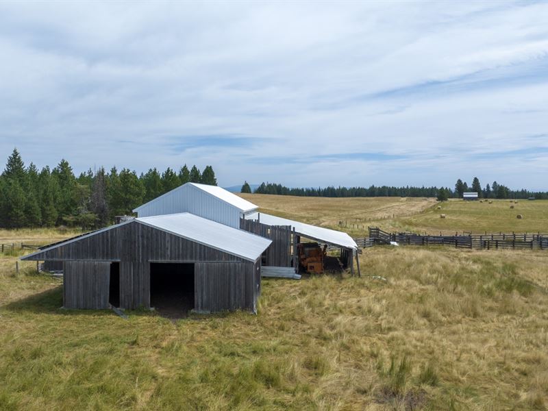 Rocking J Ranch, Parcel 5 : Weippe : Clearwater County : Idaho