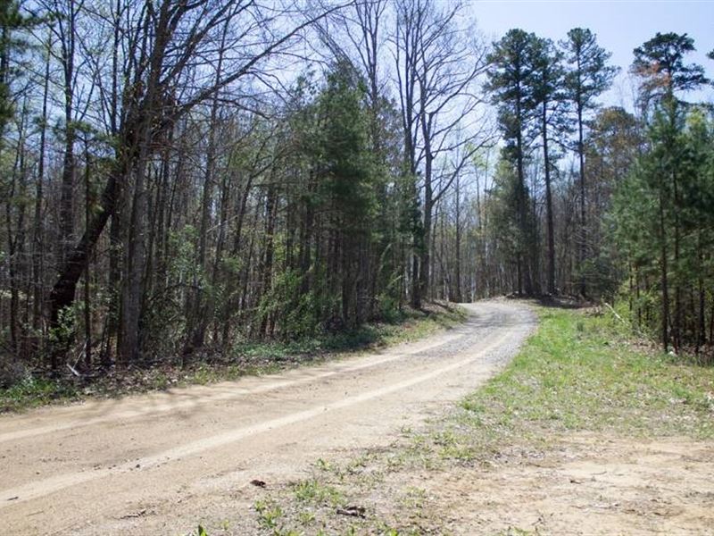 8.56 Acre in Rock Castle County, KY : Mount Vernon : Rockcastle County : Kentucky