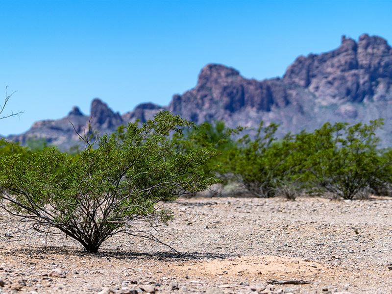 10 Ac Ranchette, H2o, Electric, Mtn : Tonopah : Maricopa County : Arizona