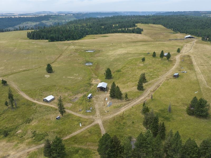 Rocking J Ranch, Parcel 7 : Weippe : Clearwater County : Idaho