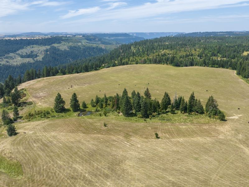 Rocking J Ranch, Parcel 15 : Weippe : Clearwater County : Idaho