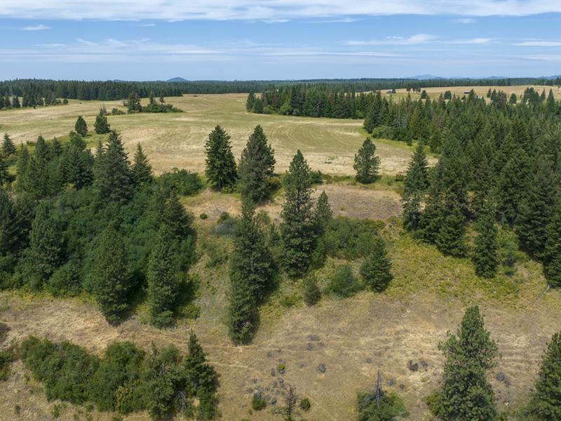 Rocking J Ranch, Parcel 17 : Weippe : Clearwater County : Idaho