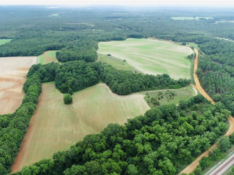 Fall Line Farm : Mauk : Taylor County : Georgia