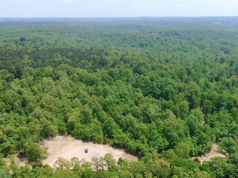 Owner Financed Land in MO : West Plains : Howell County : Missouri