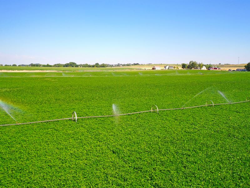 Boehner Road Farm : Wilder : Canyon County : Idaho