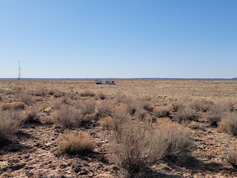 Serene Land Near Petrified Forest : Petrified Forest Natl Pk : Apache County : Arizona